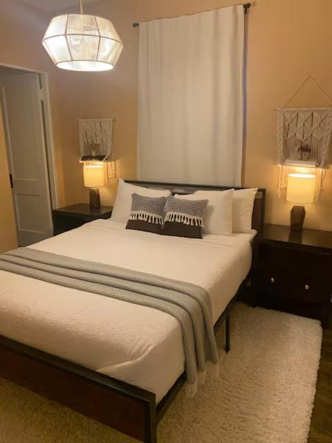 שיקגו Luxurious Andersonville Oasis מראה חיצוני תמונה